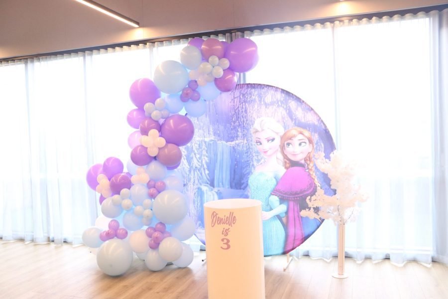 Frozen princess birthday package - Image 2