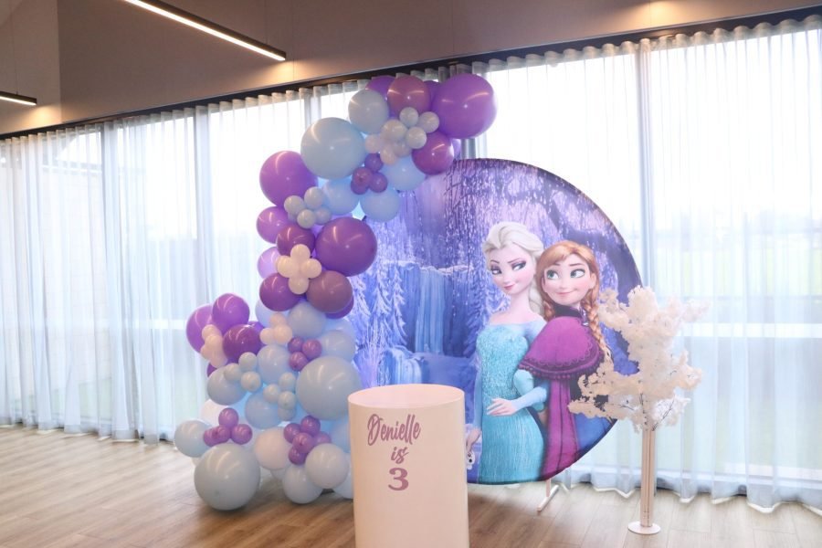 Frozen princess birthday package