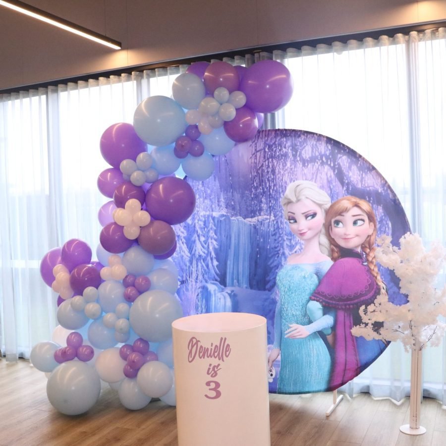 Frozen princess birthday package