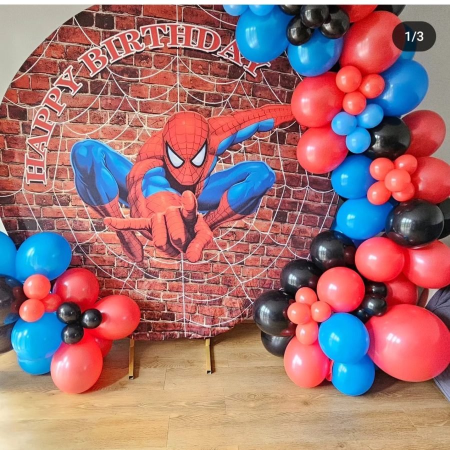Spiderman backdrop for hire