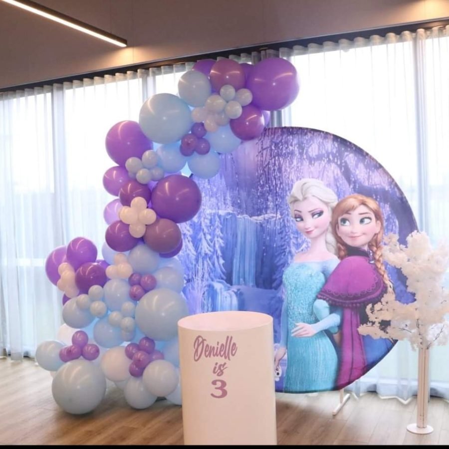 Frozen Princess backdrop for hire